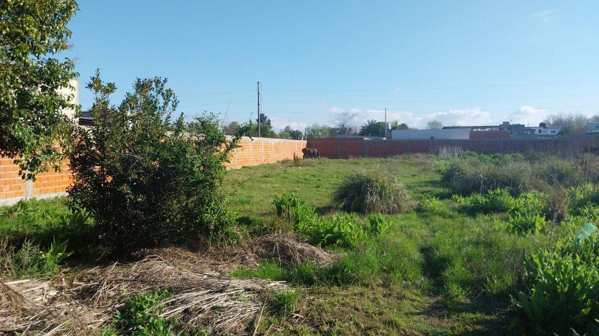 Lote de terreno con servicios en VENTA San Carlos