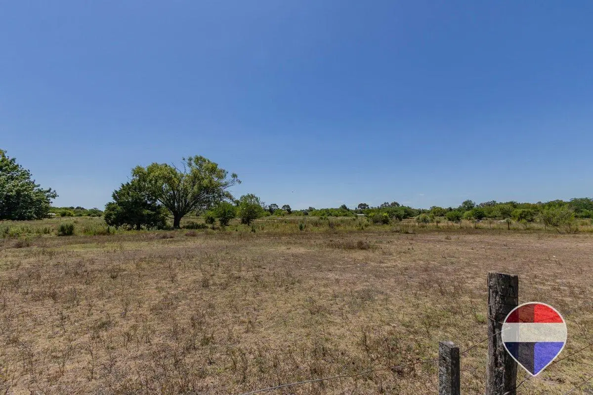 HECTAREAS EN VENTA ARTURO SEGUI LA PLATA 5