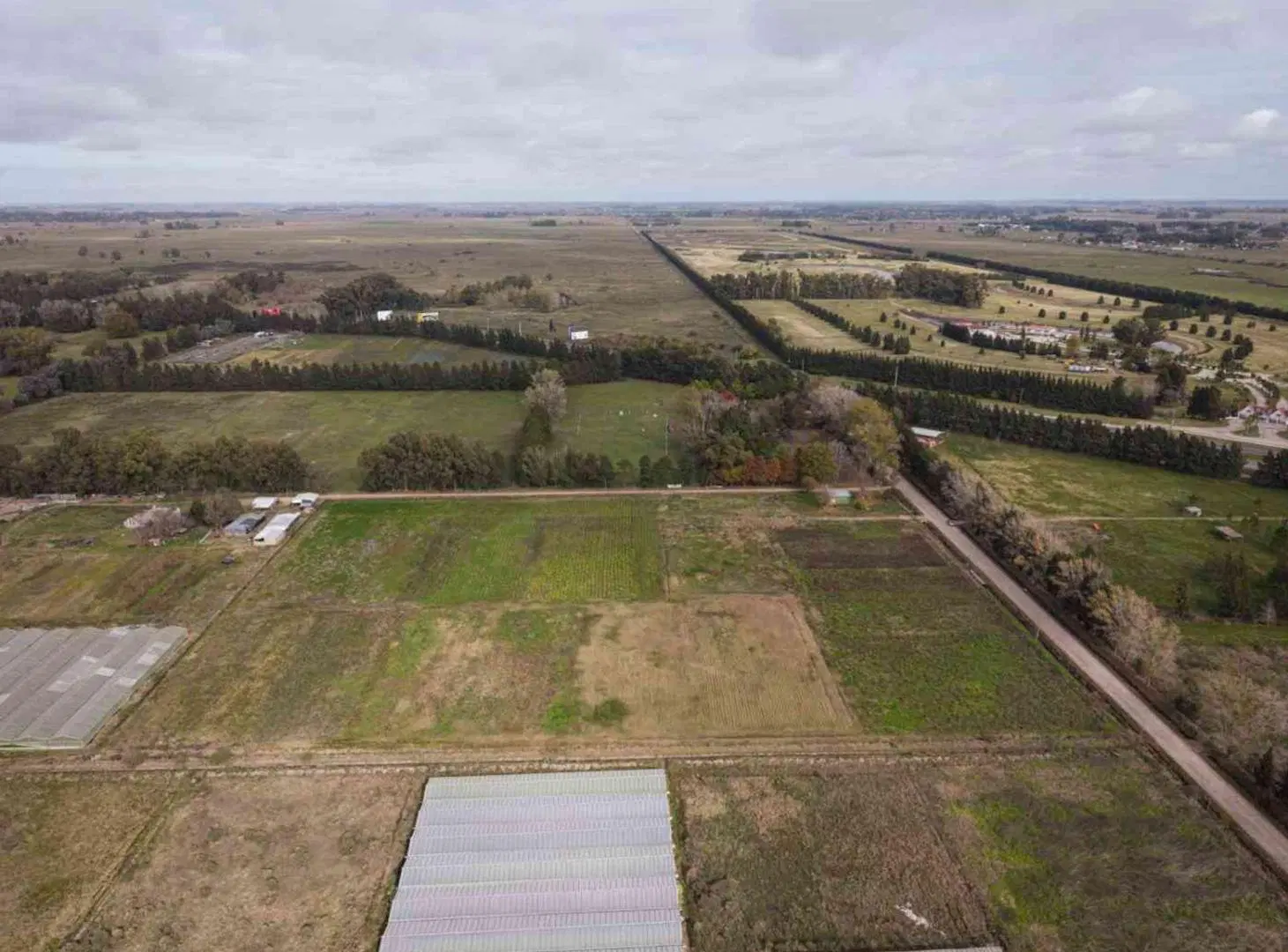 Campo o Hectarea Ruta 2, km 62 2