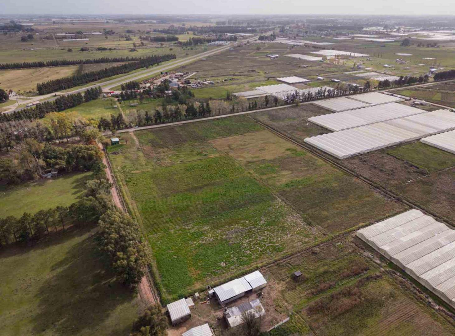 Campo o Hectarea Ruta 2, km 62