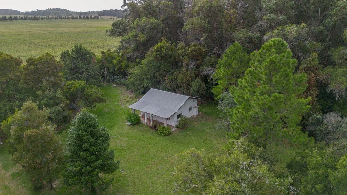 CAMPO HÉCTAREAS EN VENTA EN PUNTA INDIO 4