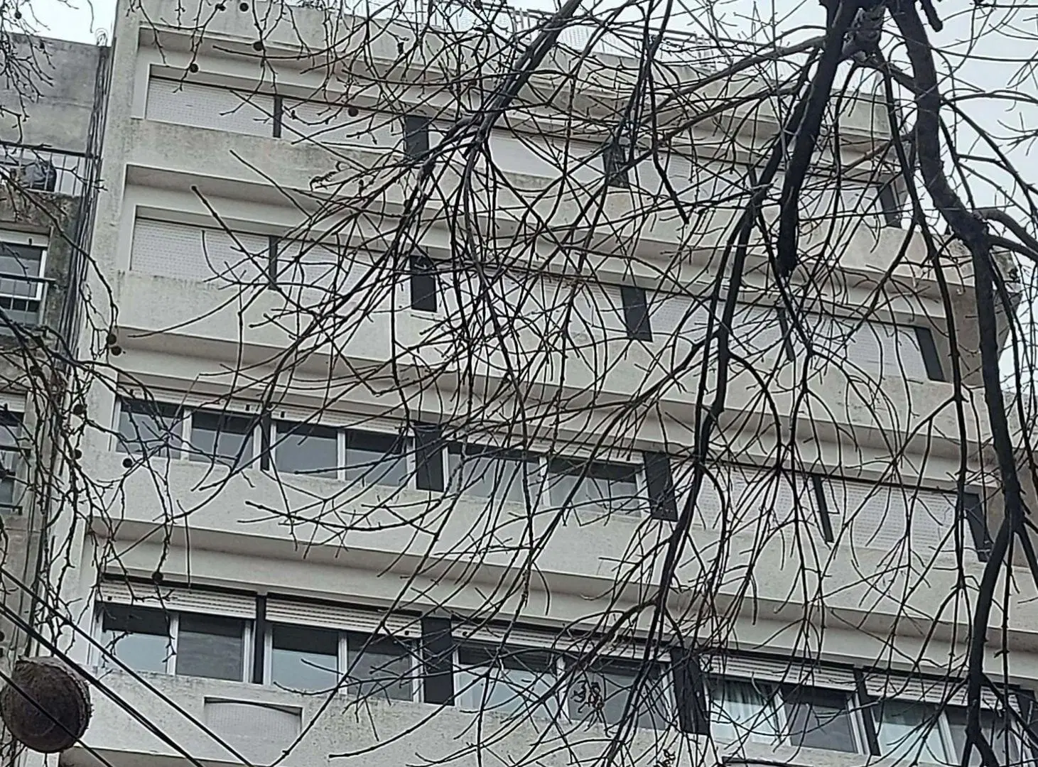 ALQUILER DEPARTAMENTO LA PLATA  2 DORM + ESTUDIO 5