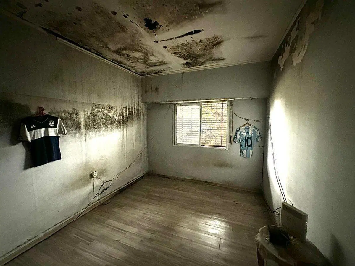 Casa en venta La Plata 5