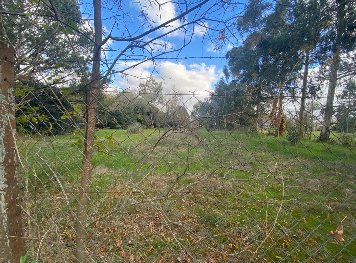 LOTE EN VENTA EN EL PATO - BERAZATEGUI 5