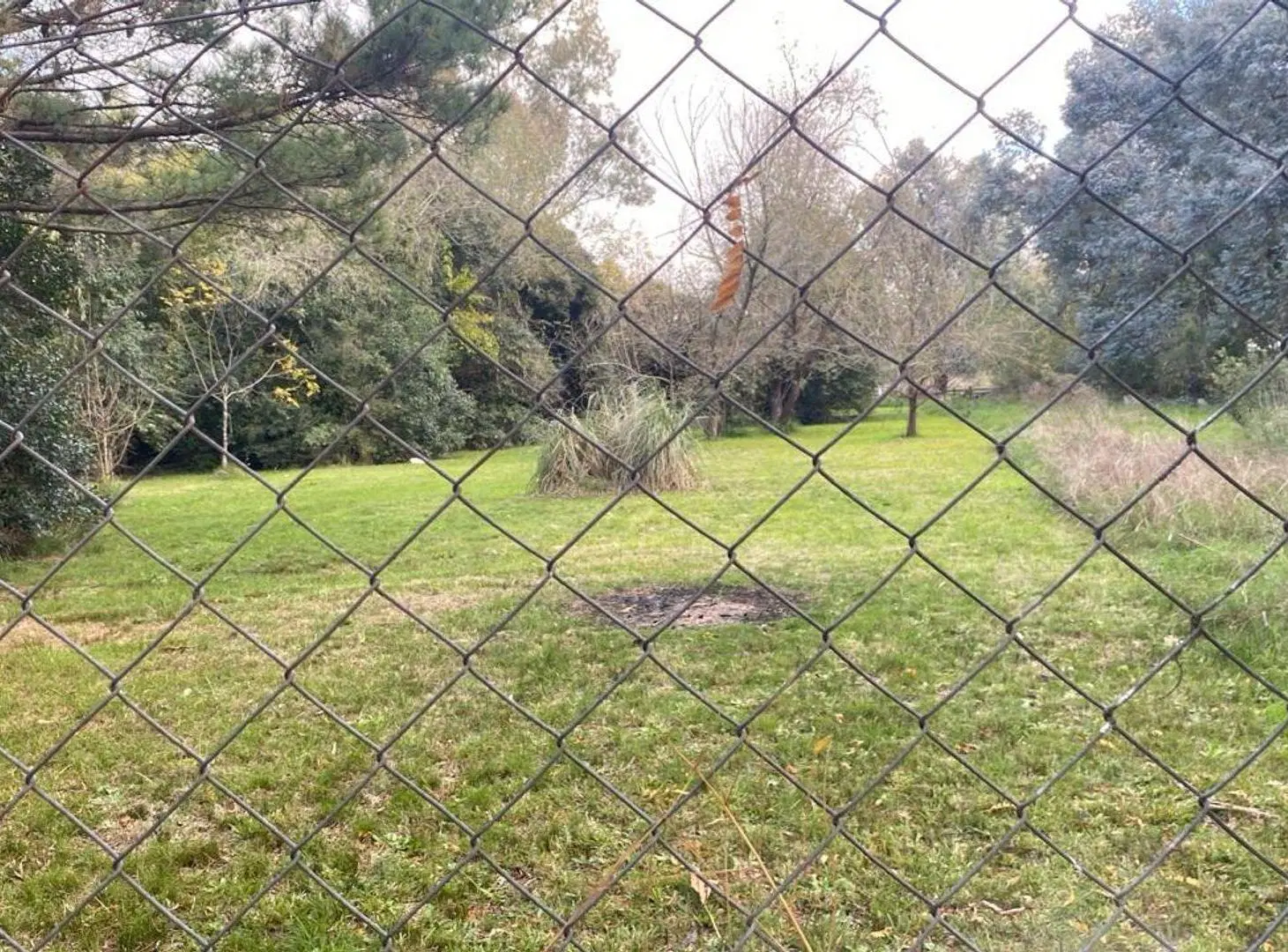 LOTE EN VENTA EN EL PATO - BERAZATEGUI 2