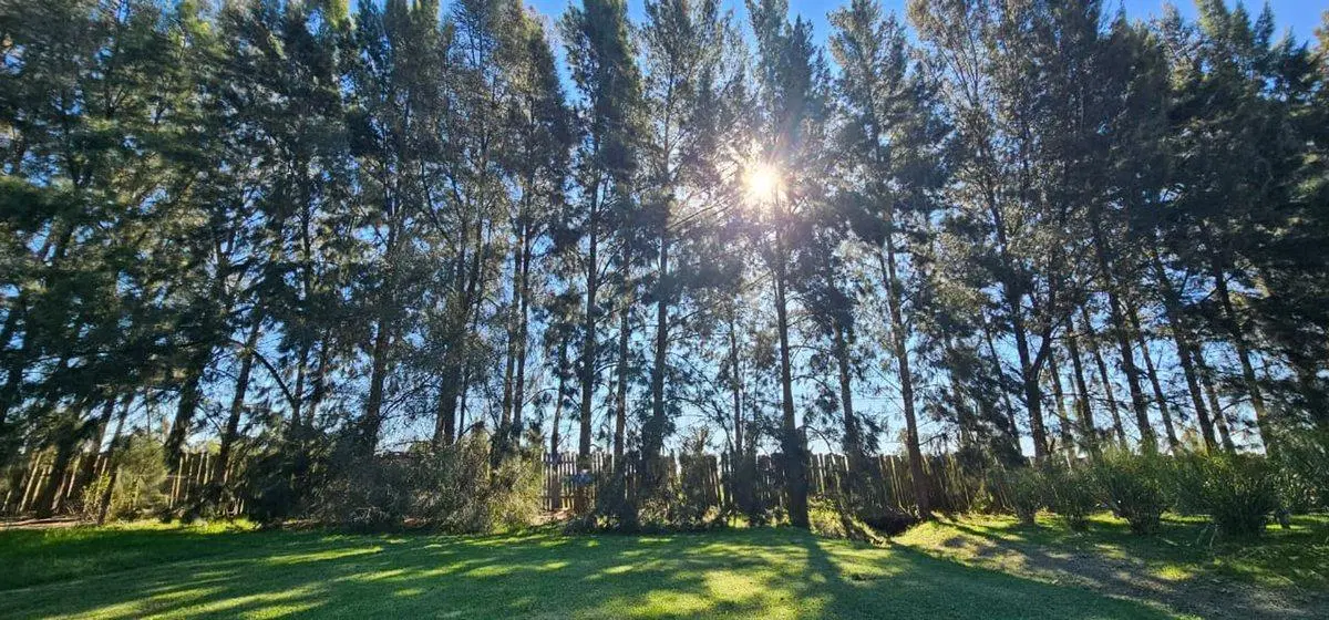 LOTE EN VENTA EN BARRIO PRIVADO ALTOS DE BRANDSEN 5