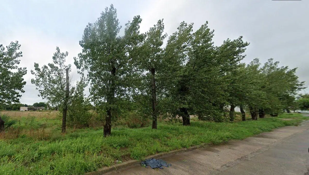 LOTES EN VENTA EN GENERAL BELGRANO 1 HECTÁREA 3