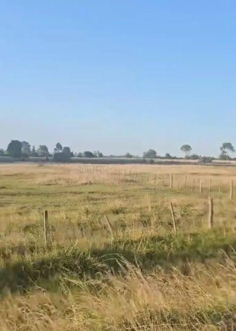 TERRENO EN VENTA EN DOLORES 4