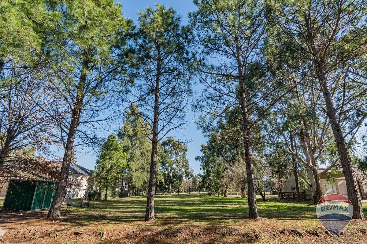 LOTE EN VENTA EN MIRALAGOS 4