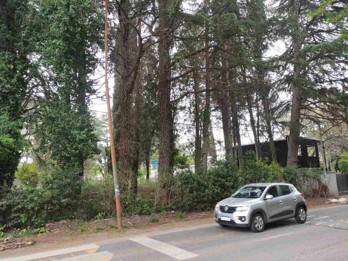 LOTES EN VENTA VILLA ELISA LA PLATA 5