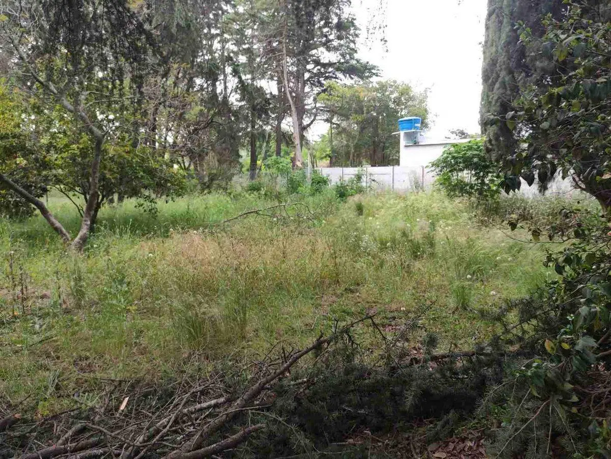 LOTES EN VENTA VILLA ELISA LA PLATA 3