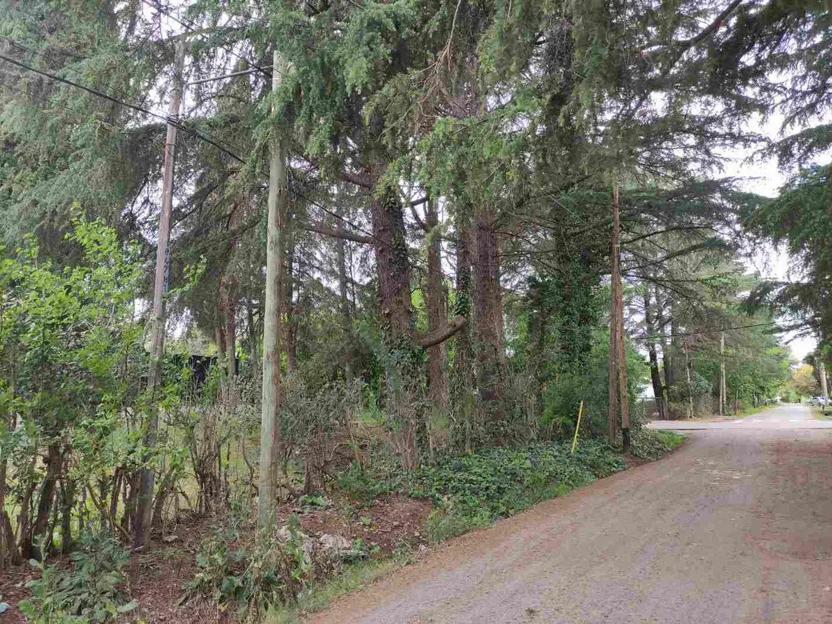 LOTES EN VENTA VILLA ELISA LA PLATA 4
