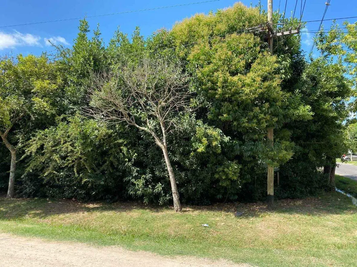 Lote en esquina en City Bell – Ideal casa familiar 3