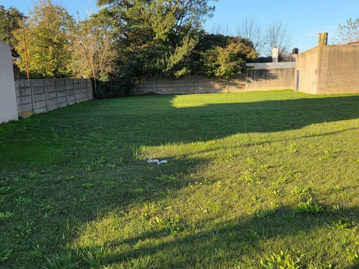 LOTE VENTA EN BRANDSEN 5