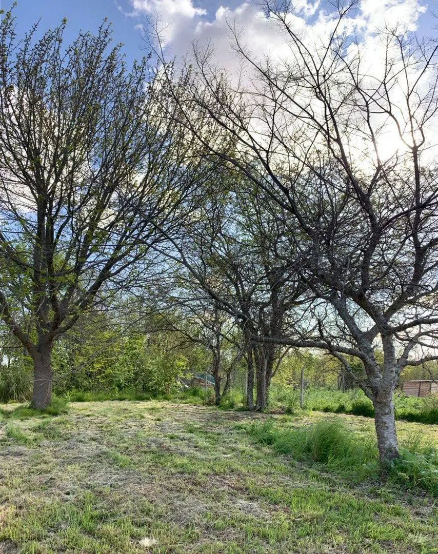 LOTES EN VENTA EN VILLA ELISA 5