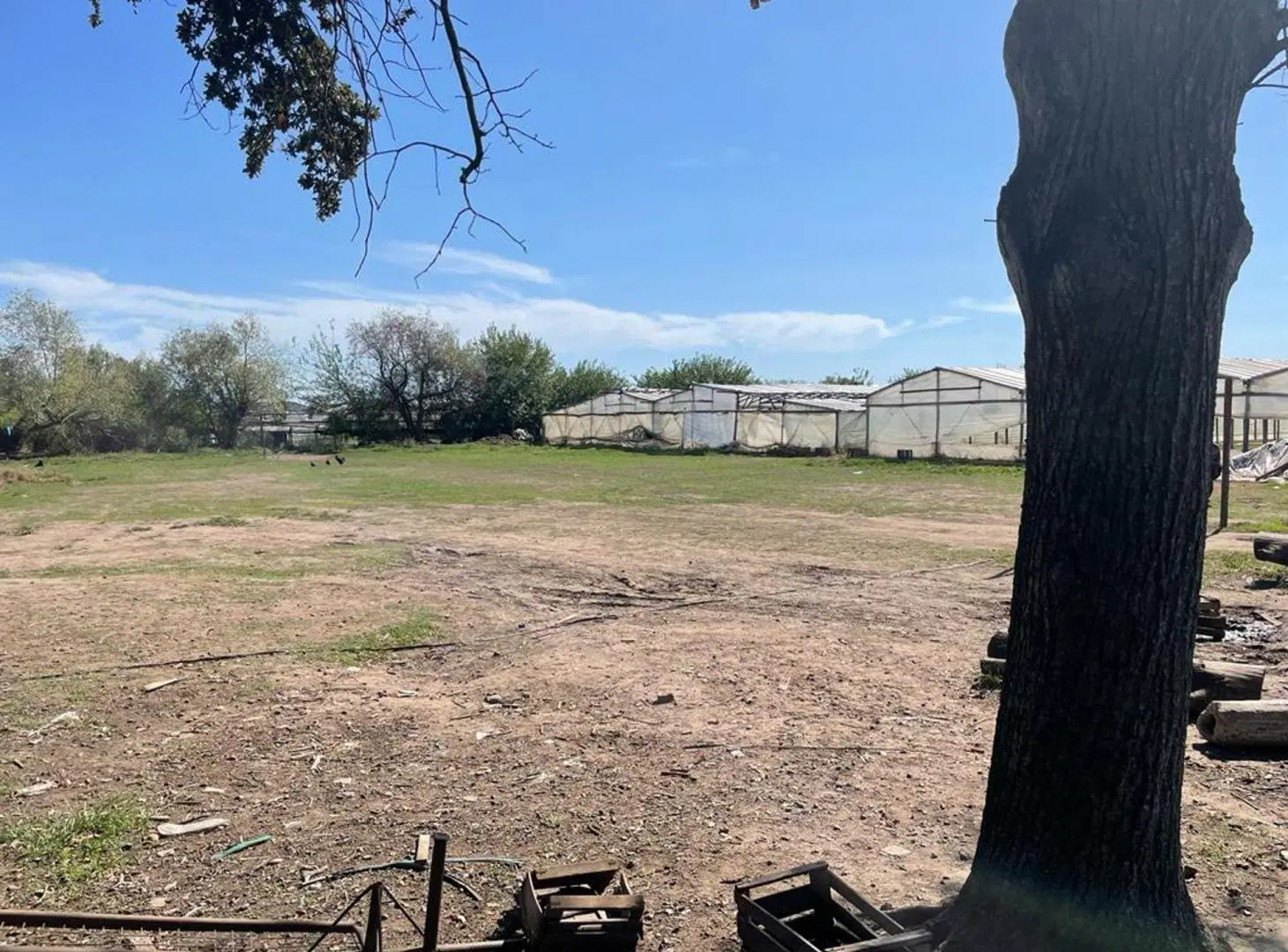 HECTAREAS EN ABASTO EN VENTA -  LA PLATA 5
