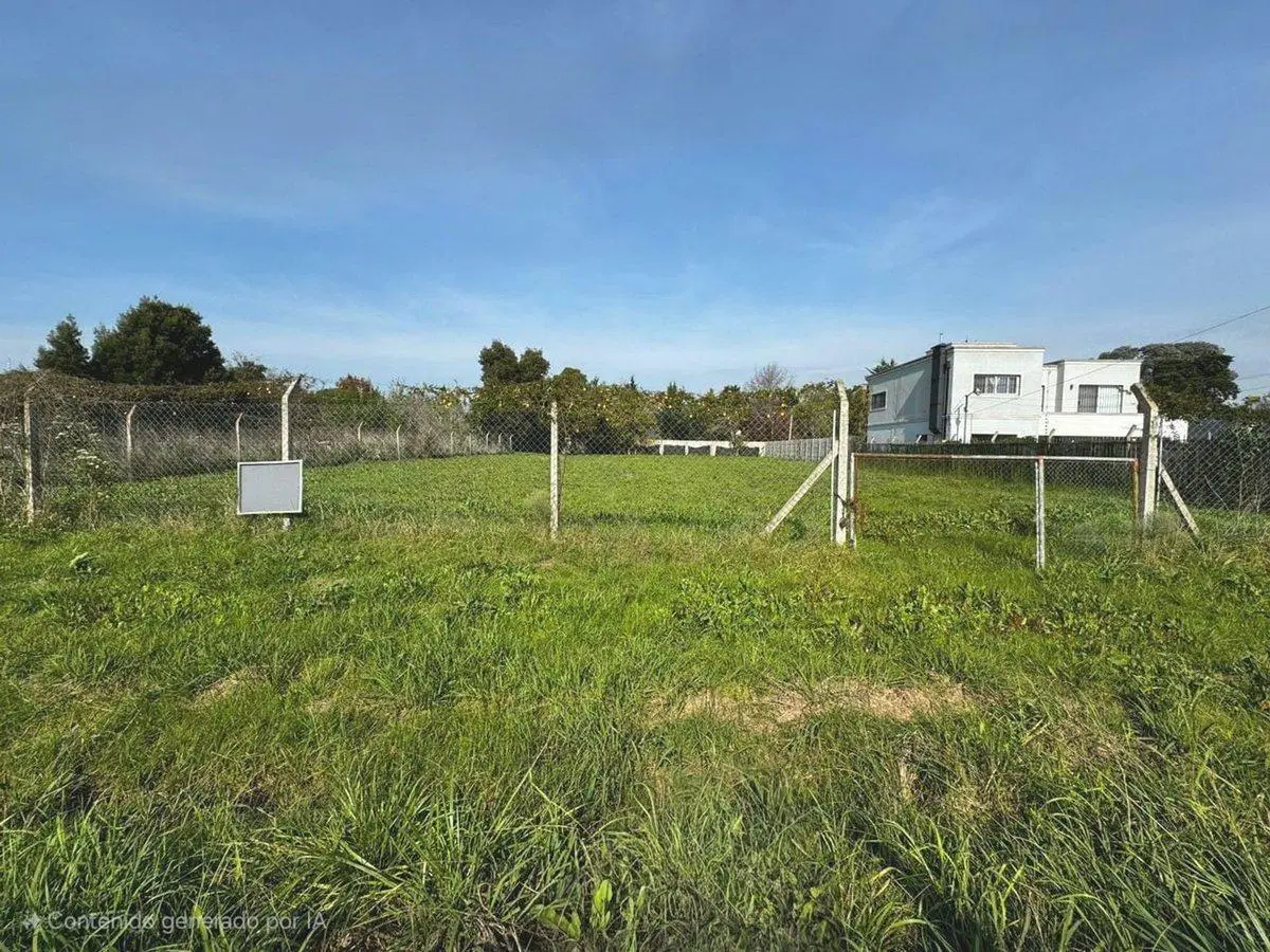 LOTE EN VENTA EN EL PATO 2
