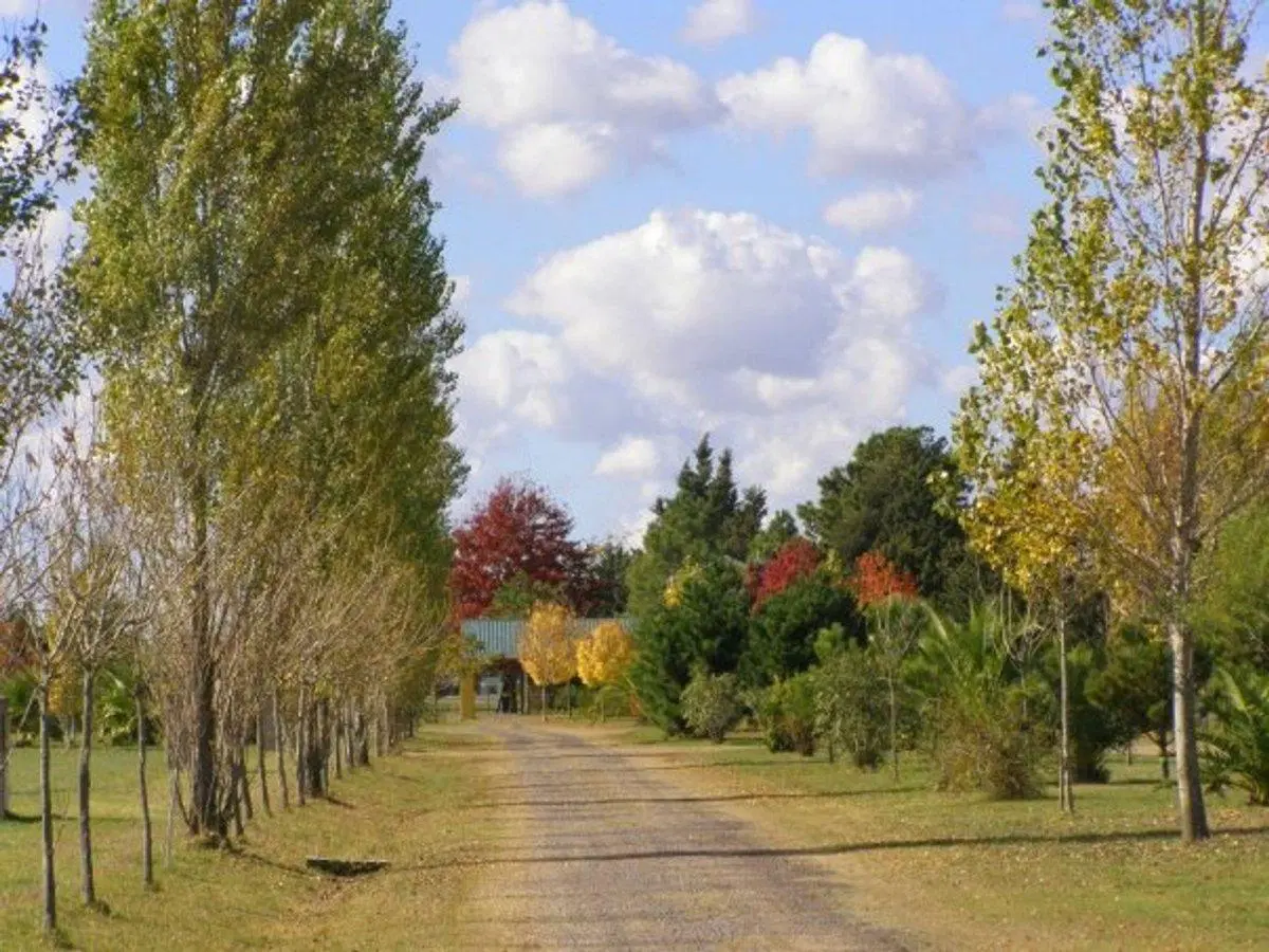 Lote en Venta - Posada de Los Lagos 4
