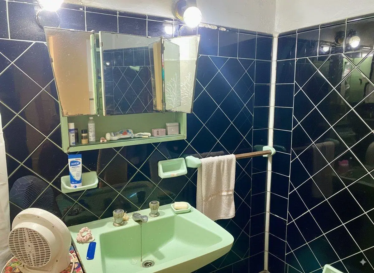 VENTA CASA CALLE 28 N°5169 entre 174 y 175 BERISSO 3
