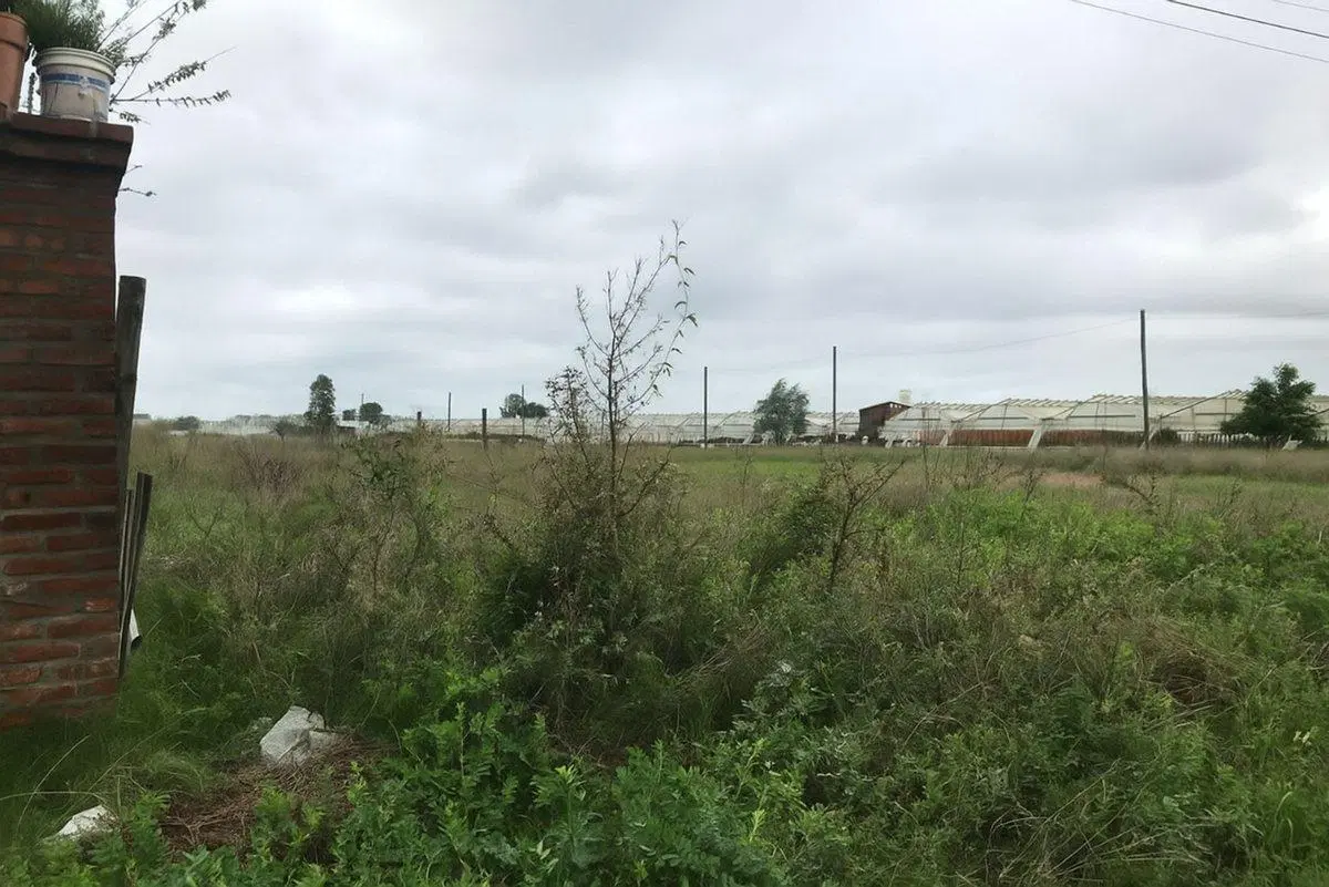 Lote en venta La Plata 2