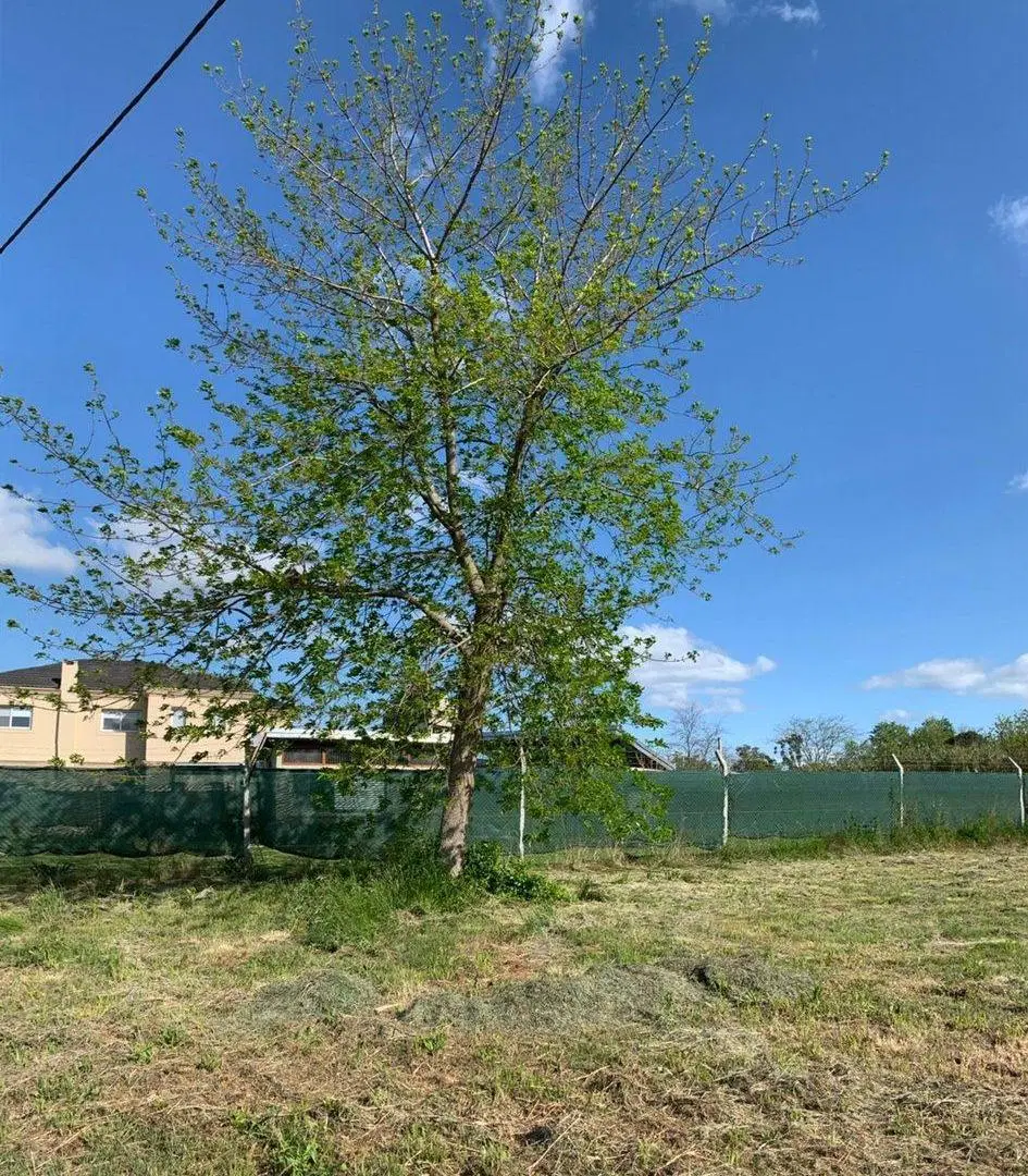 LOTES EN VENTA EN VILLA ELISA - FINANCIA 3