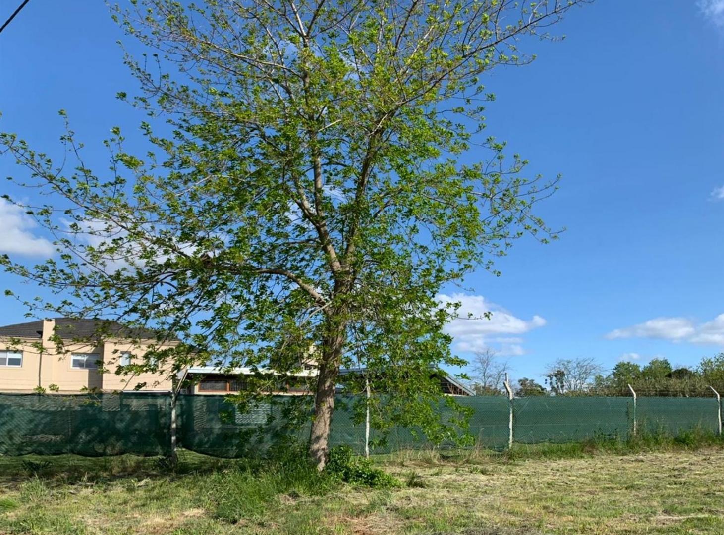 LOTES TERRENOS VILLA ELISA EN VENTA