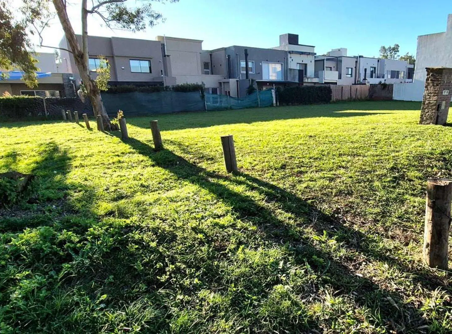 LOTE en PH 2