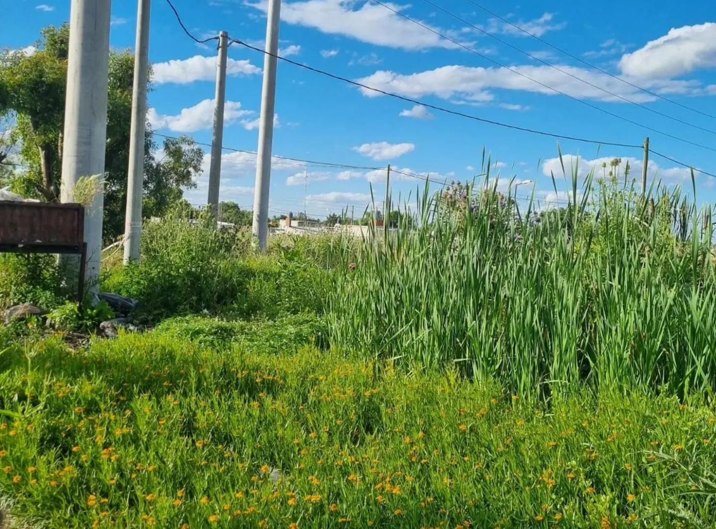 Terreno en Venta en San Carlos 4