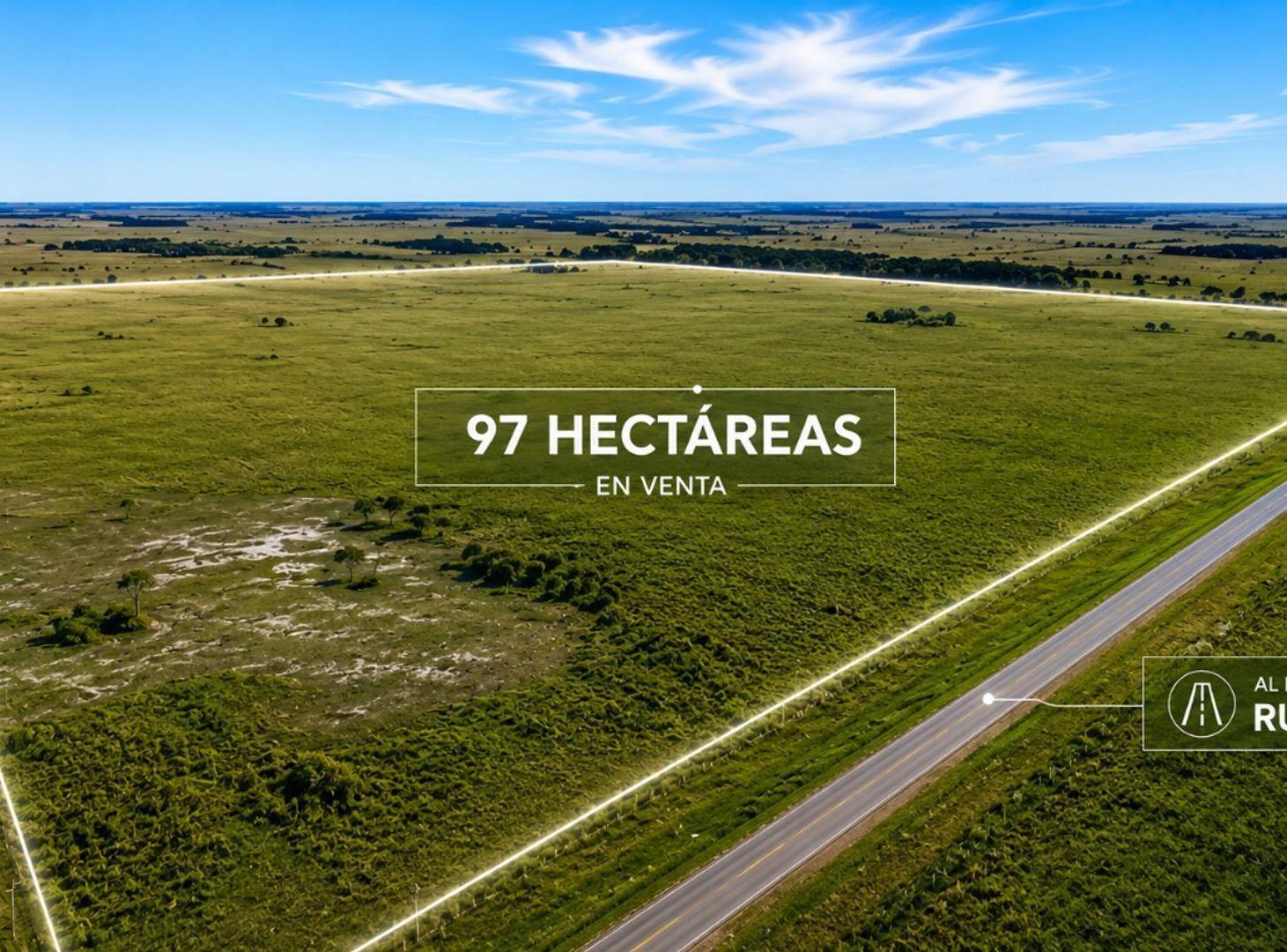 CAMPO EN VENTA.RUTA 36.KM 100. MAGDALENA.LA PLATA