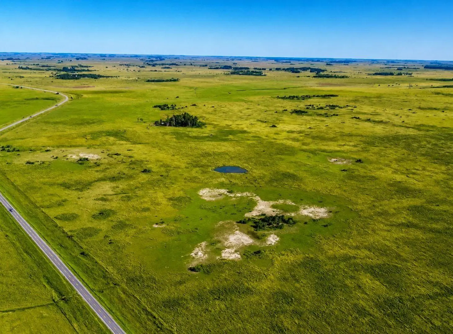 CAMPO EN VENTA.RUTA 36.KM 100. MAGDALENA.LA PLATA 4