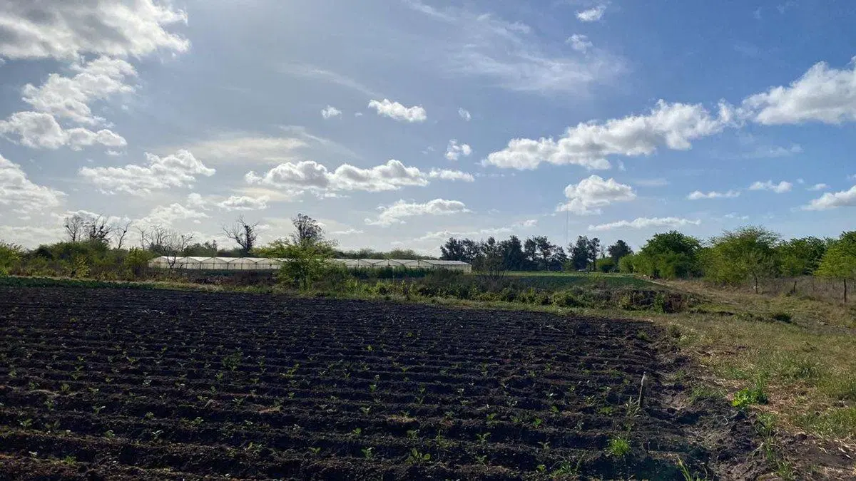 HECTAREAS EN VENTA LA PLATA OLMOS 5