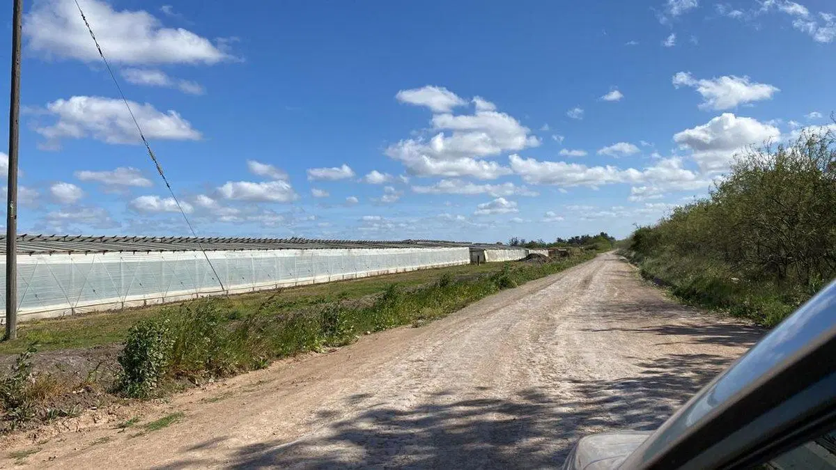 HECTAREAS EN VENTA LA PLATA OLMOS 3