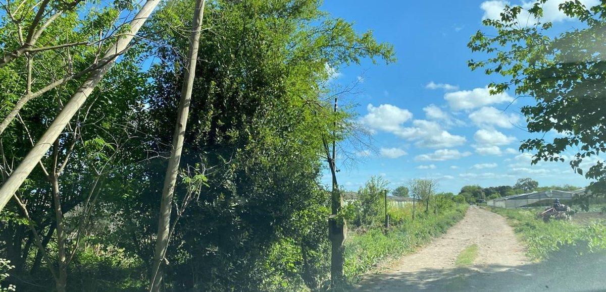 HECTAREAS EN VENTA LA PLATA OLMOS