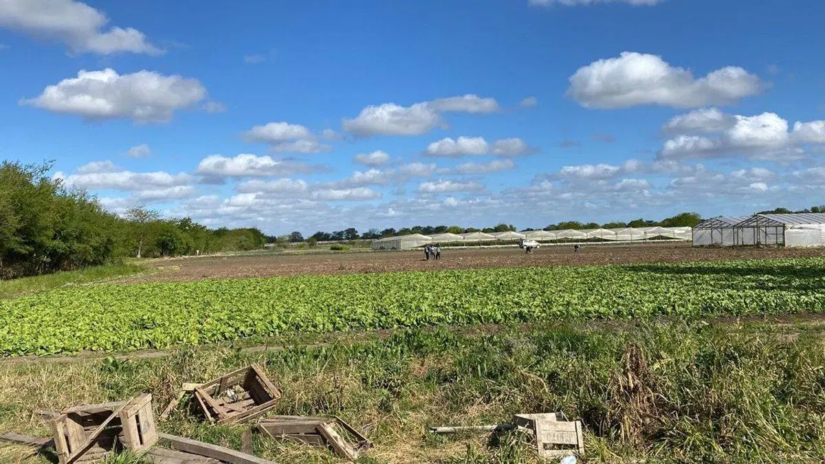 HECTAREAS EN VENTA LA PLATA OLMOS 4
