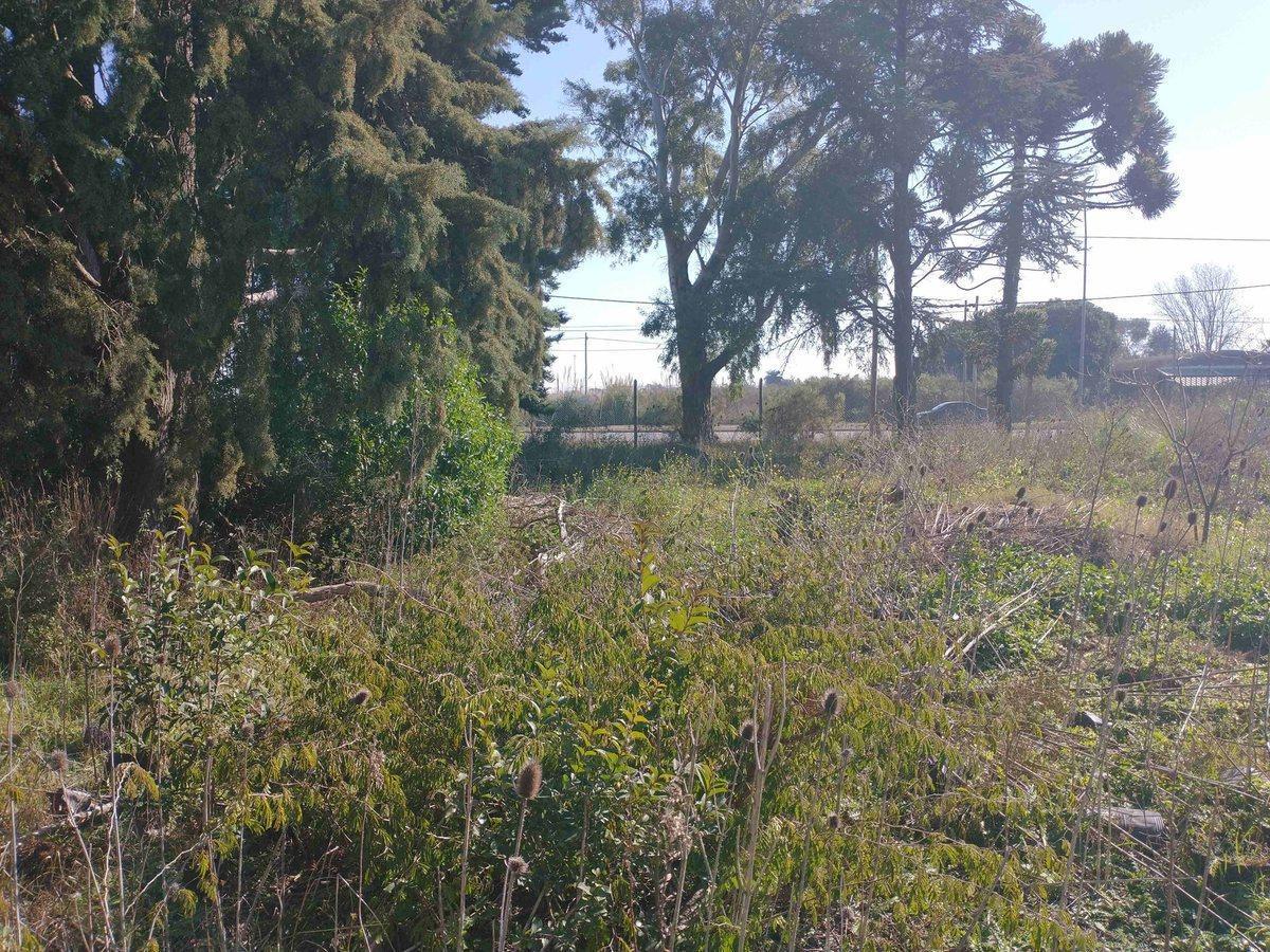 ESQUINA DE TERRENO EN VENTA SOBRE AVENIDA LA PLATA