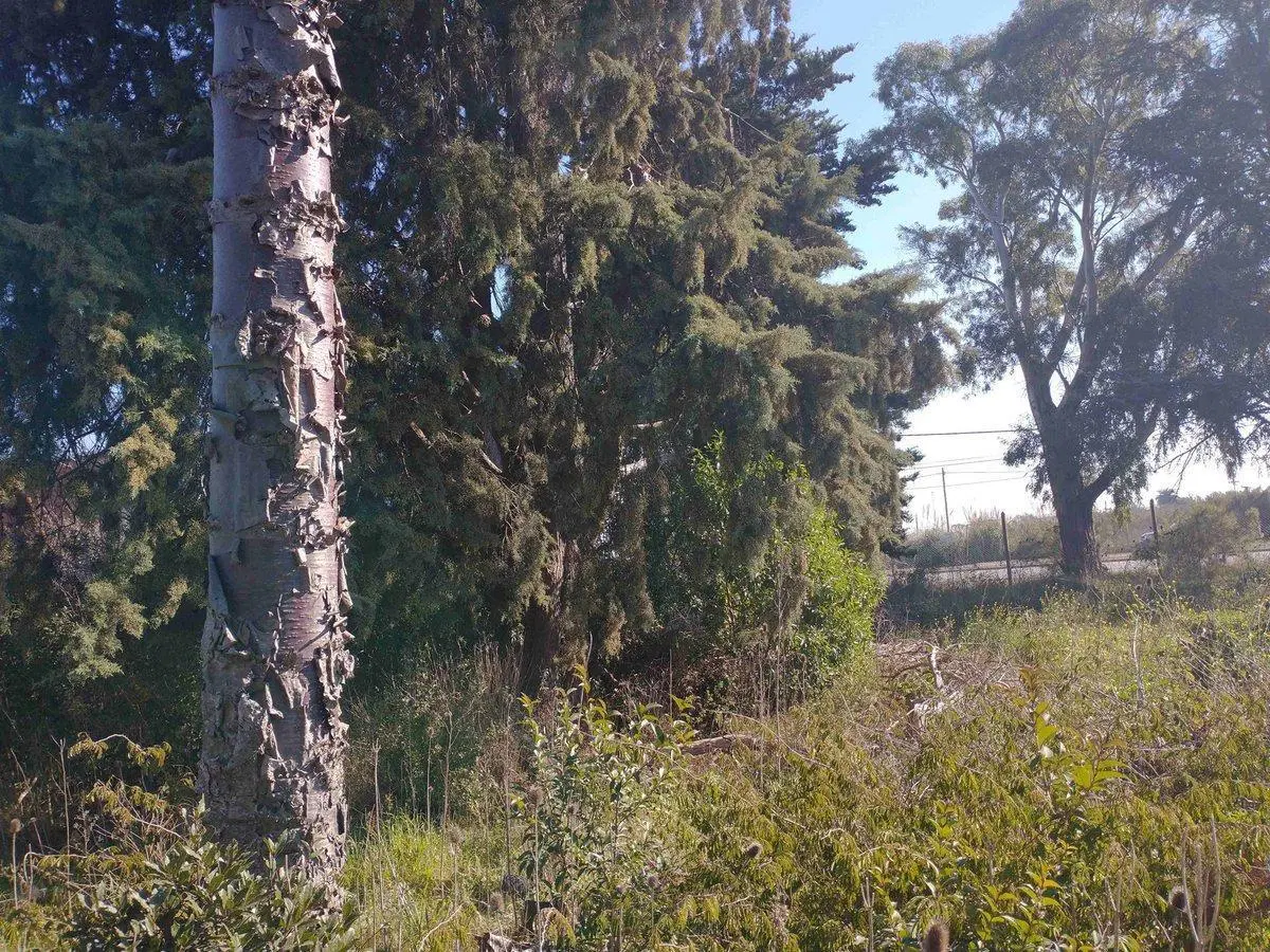 ESQUINA DE TERRENO EN VENTA SOBRE AVENIDA LA PLATA 3