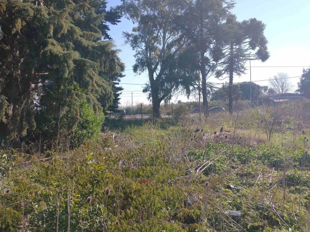 ESQUINA DE TERRENO EN VENTA SOBRE AVENIDA LA PLATA 4