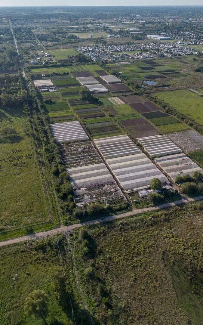 Campo Venta Fracción en Los Hornos 2