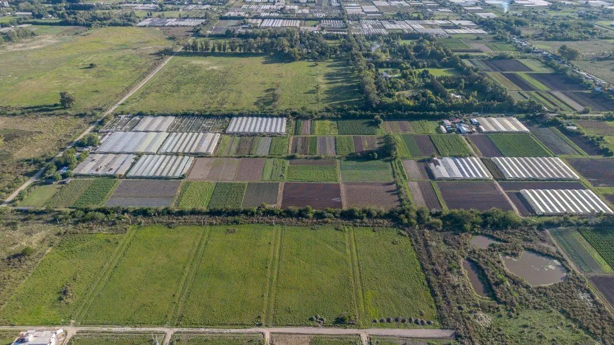 Campo Venta Fracción en Los Hornos 3