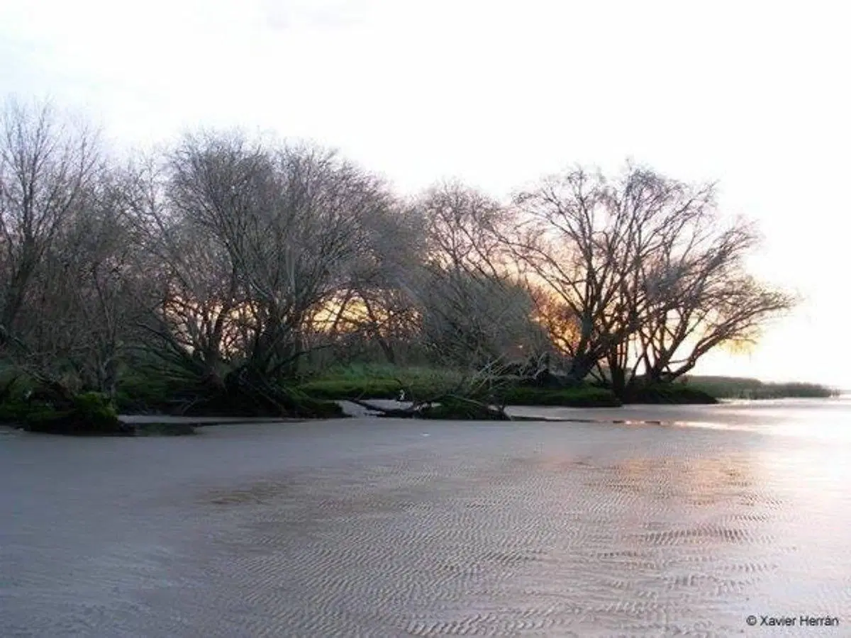 CAMPO EN VENTA COSTA DE RIO DE LA PLATA ATALAYA 3