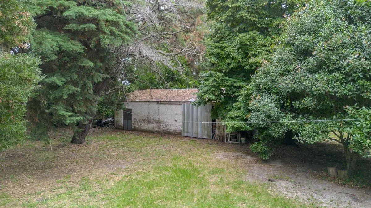 CAMPO HÉCTAREAS EN VENTA EN PUNTA INDIO 3