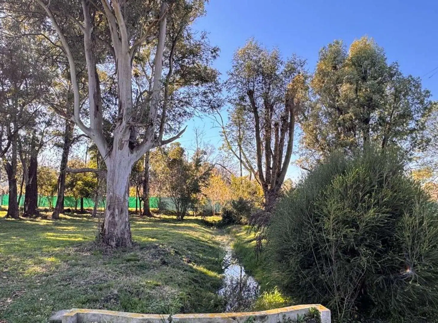 VENTA LOTE EN VILLA ELISA 5