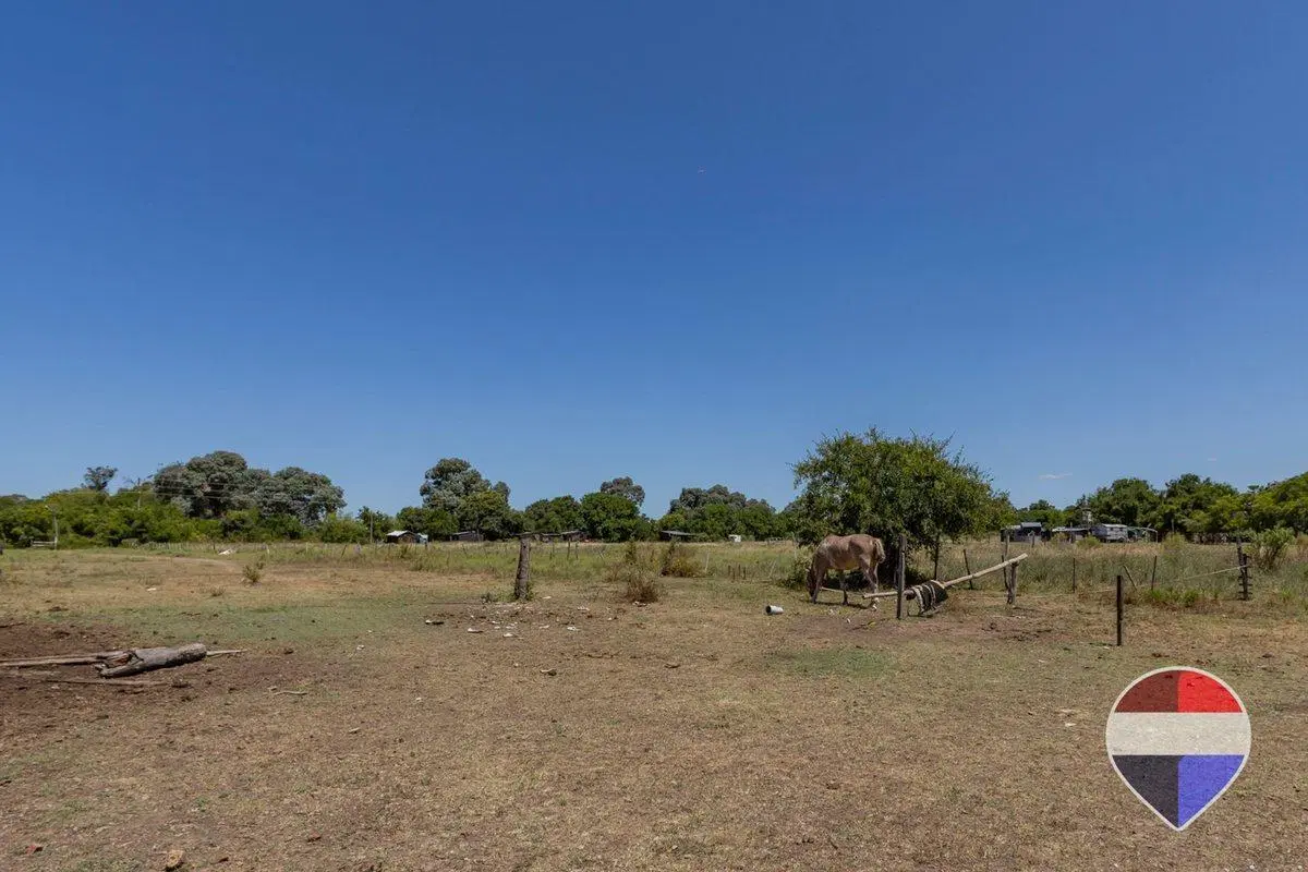 HECTAREAS EN VENTA ARTURO SEGUI LA PLATA 5