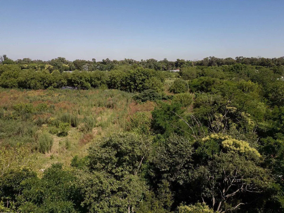 Venta Hectáreas en Villa Elisa 2