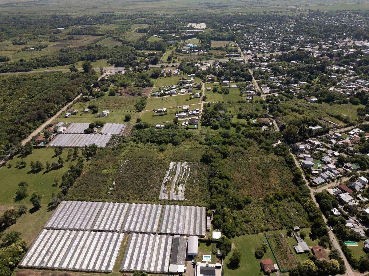 Venta Hectáreas en Villa Elisa 3