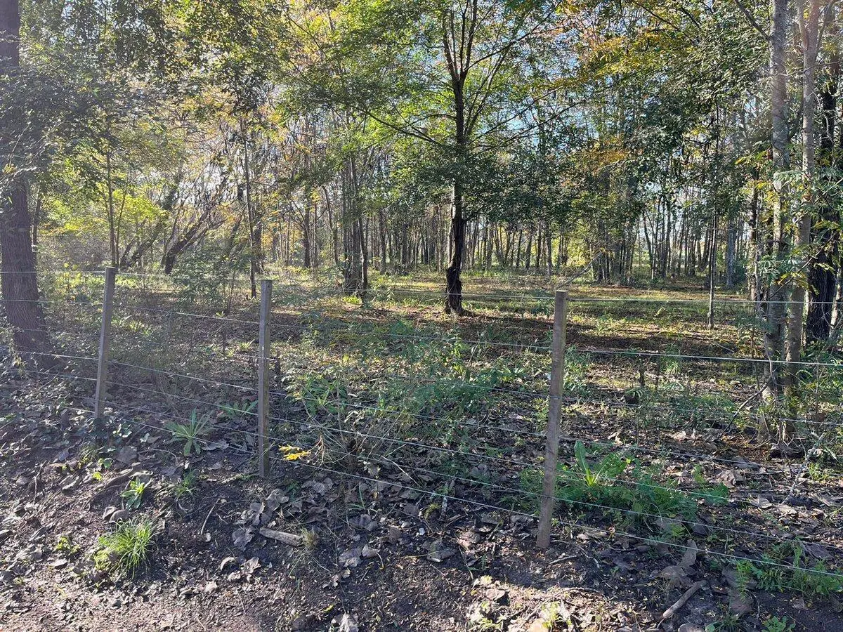 LOTE EN PH EN VENTA EN VILLA ELISA 5