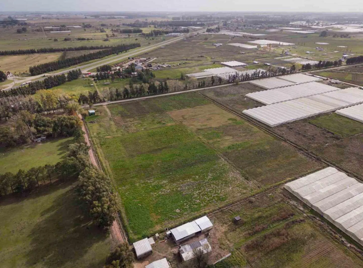Campo o Hectarea Ruta 2, km 62 5