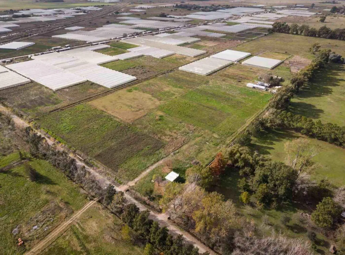 Campo o Hectarea Ruta 2, km 62 4