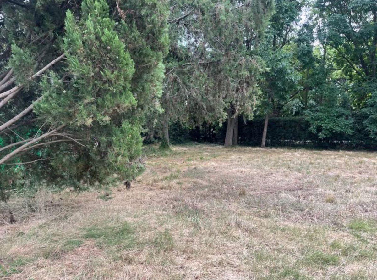 Foto de LOTE EN VENTA EN CITY BELL, imagen 1