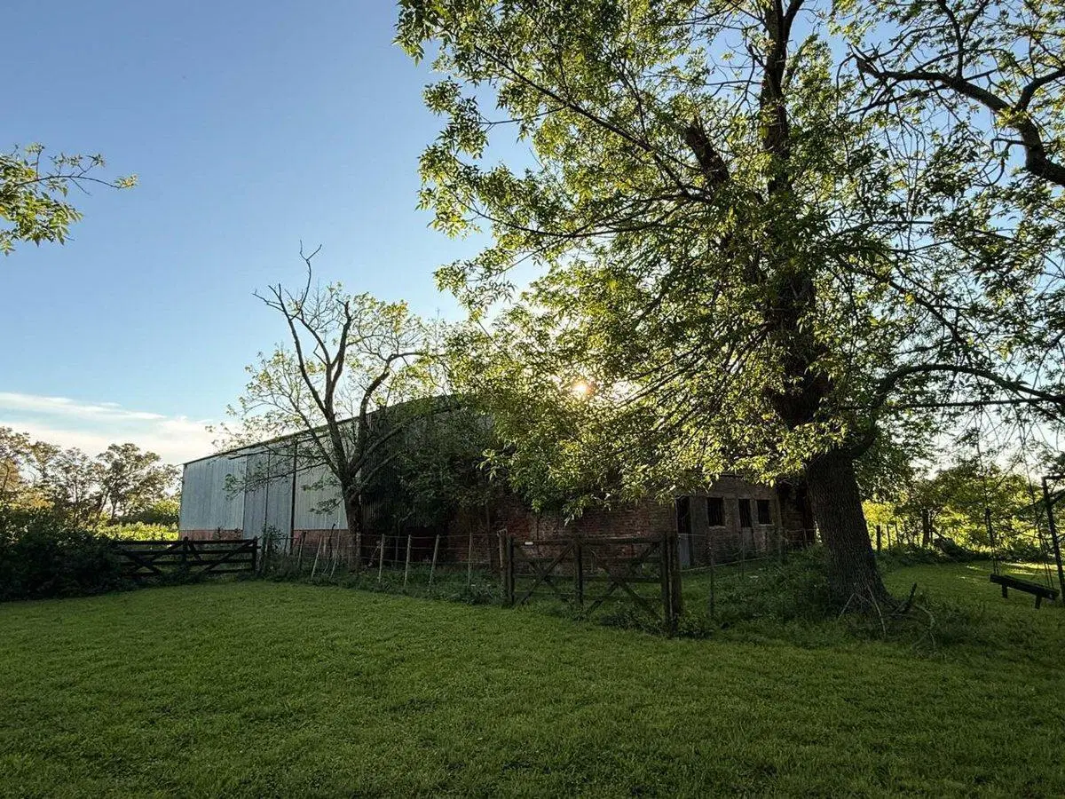 Campo en Venta en Los Hornos casa y pileta 5